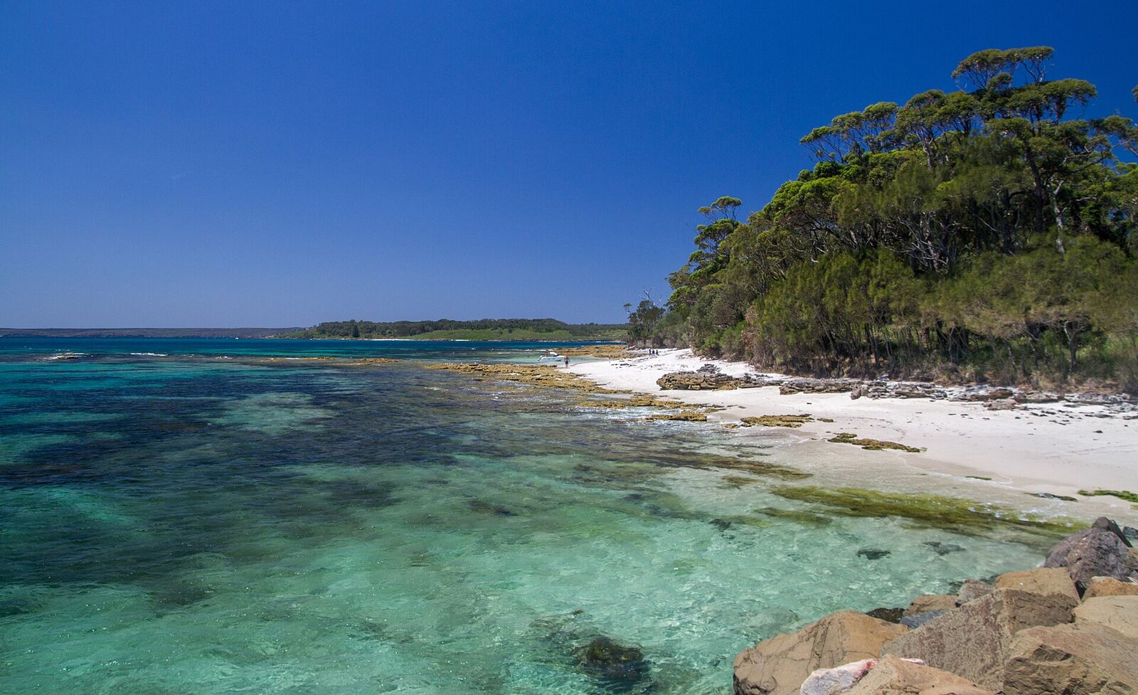Murrays Beach in Booderee National Park with bushland behind the sand