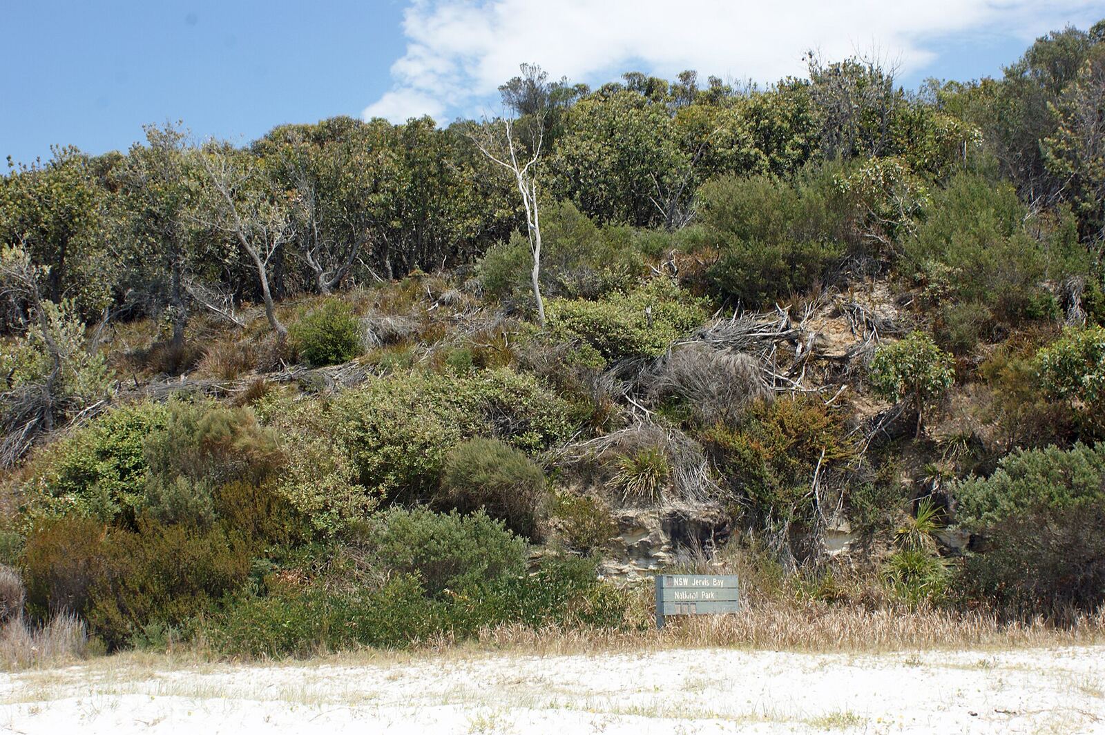 Bushland and shoreline in Jervis Bay National Park near Hyams Beach